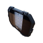Cat Bulkhead - Image 4
